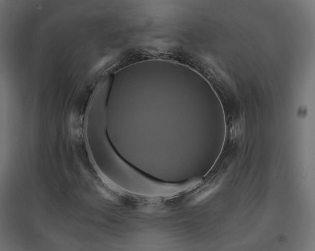 X0000094901156200711291226