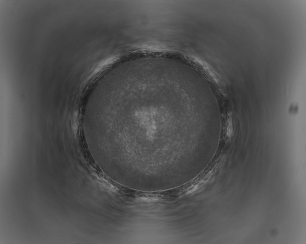 X0000094901157200711291226