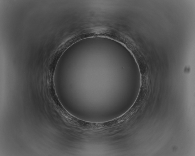 X0000094901158200711291226
