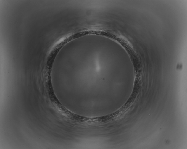 X0000094901159200711291226