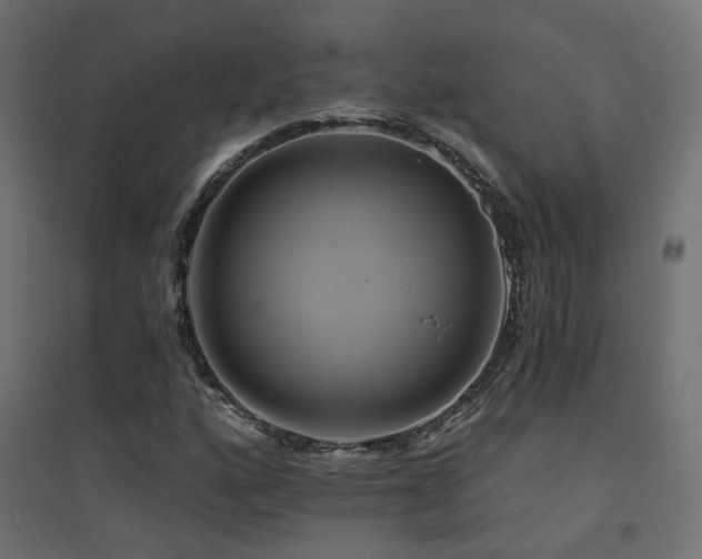 X0000094901160200711291226