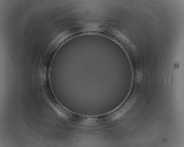 X0000094901161200711291226