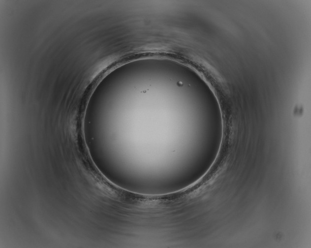 X0000094901162200711291226
