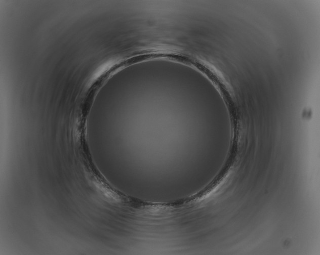 X0000094901163200711291226