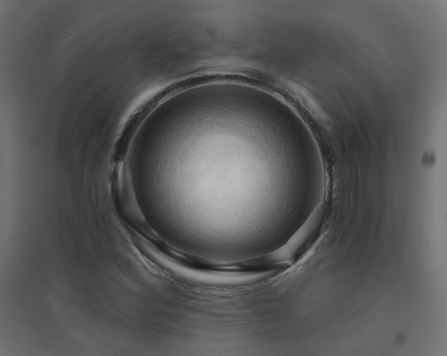 X0000094901164200711291226