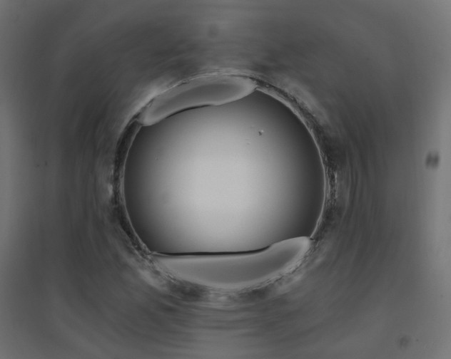X0000094901165200711291226
