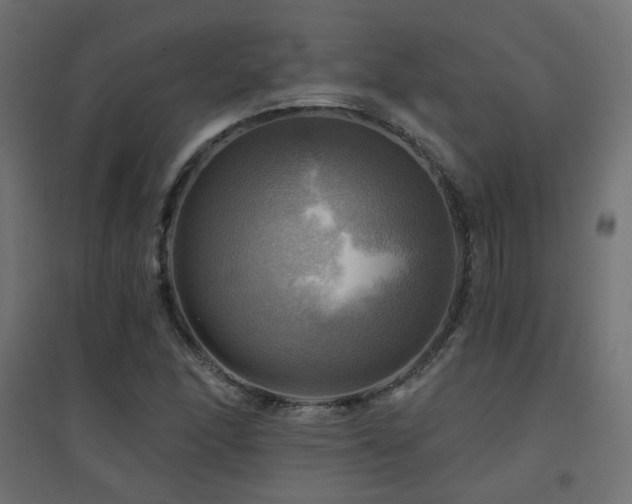 X0000094901166200711291226