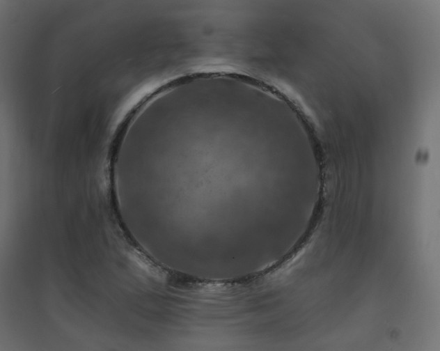 X0000094901167200711291226