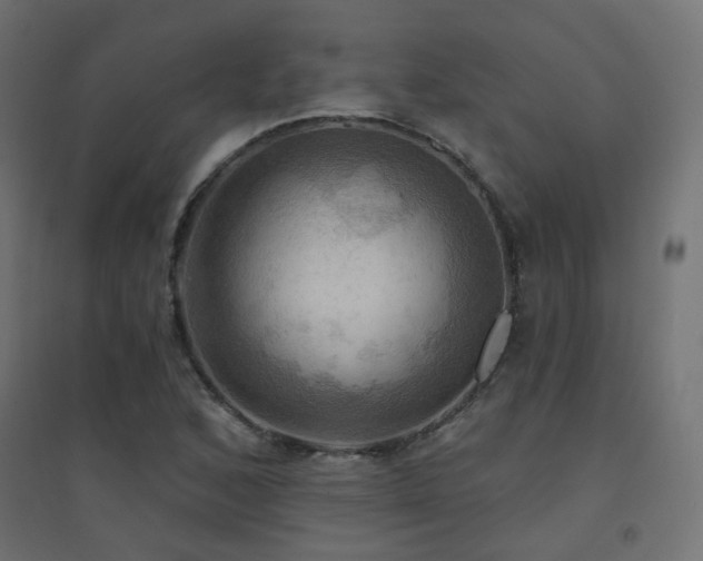 X0000094901168200711291226