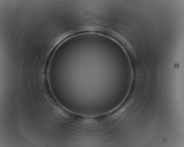 X0000094901170200711291226