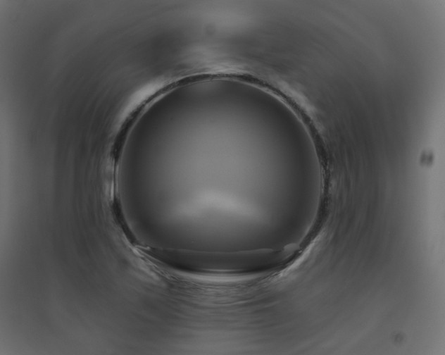 X0000094901171200711291226