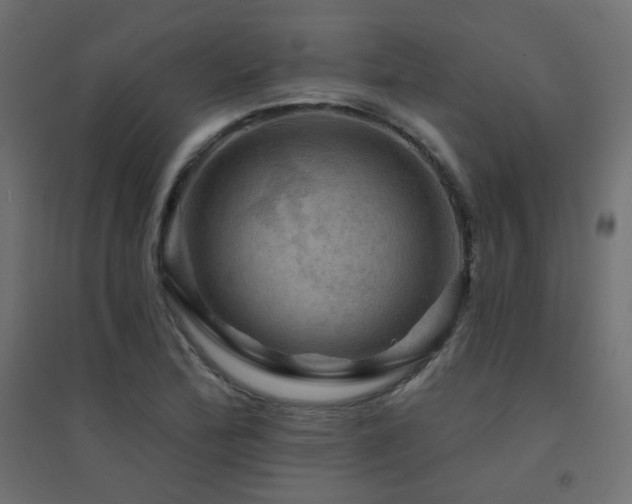 X0000094901172200711291225