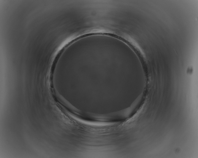 X0000094901173200711291225
