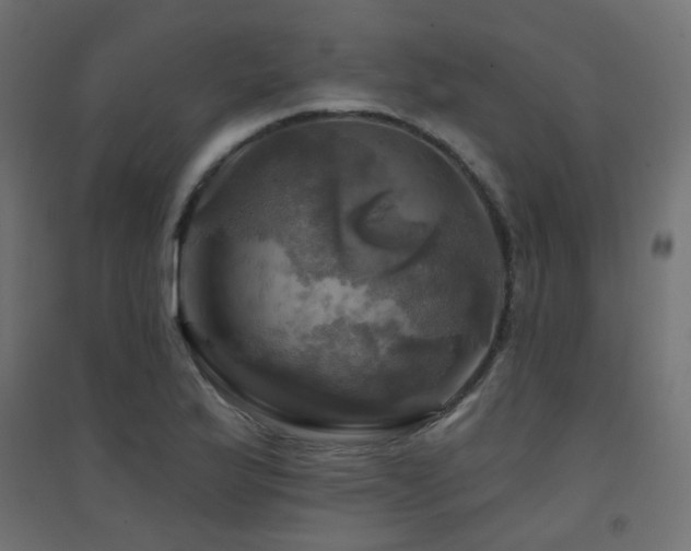 X0000094901175200711291225