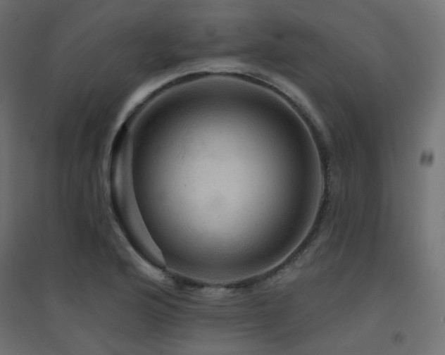 X0000094901176200711291225