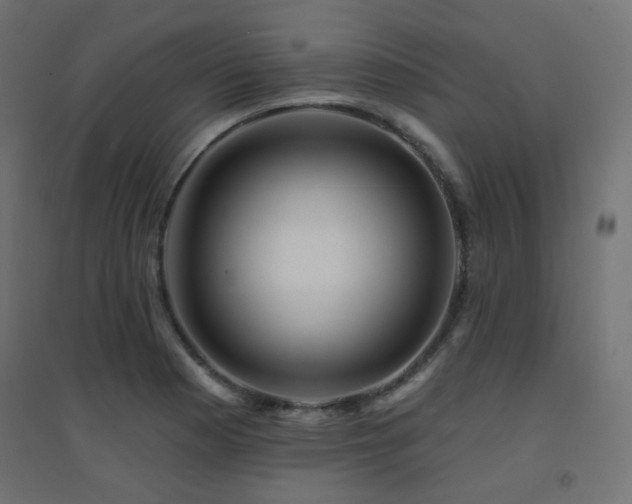 X0000094901177200711291225
