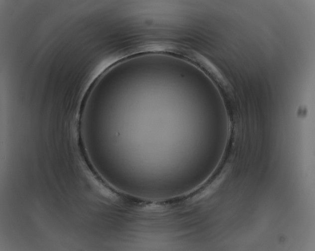 X0000094901178200711291225