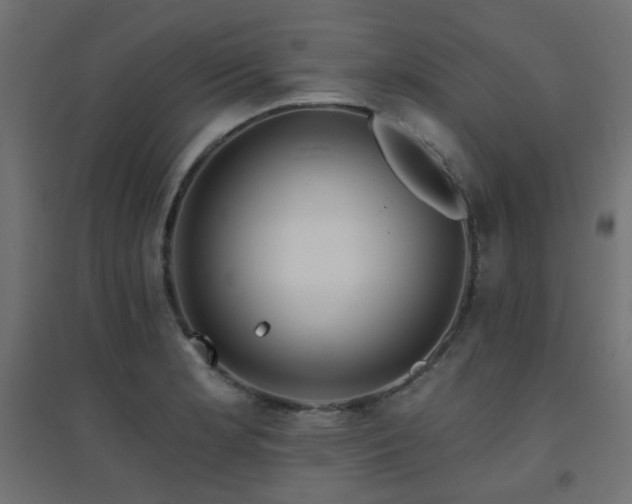 X0000094901181200711291225