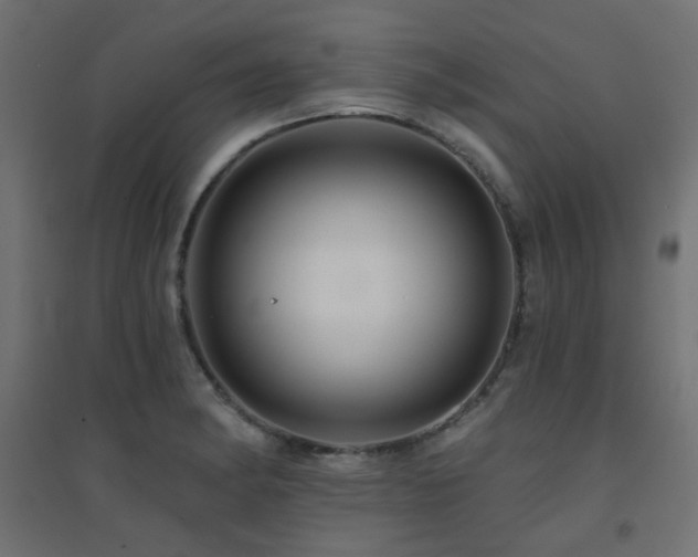 X0000094901182200711291225