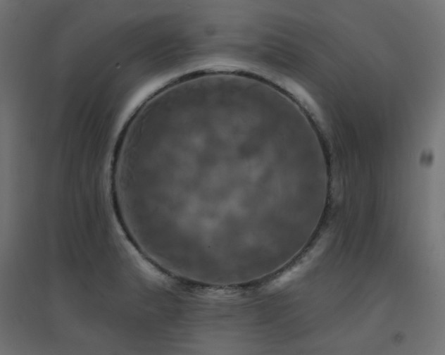 X0000094901183200711291225