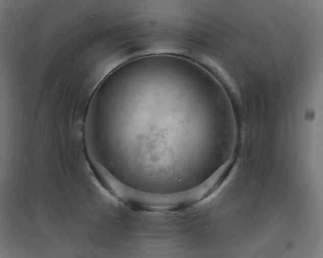X0000094901185200711291225