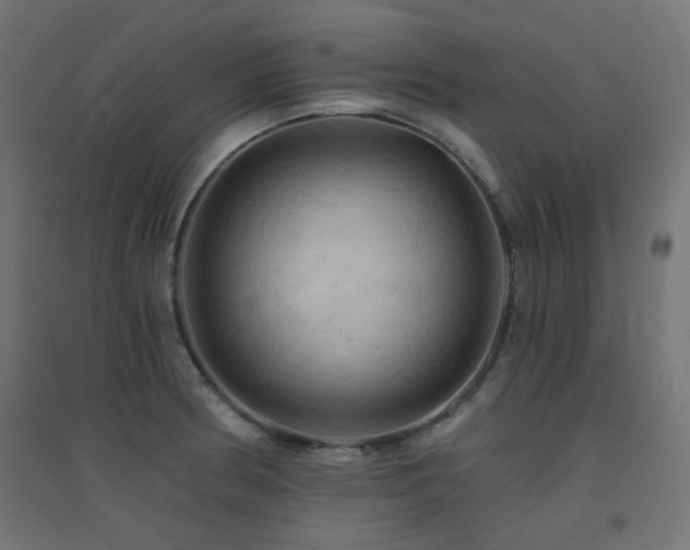 X0000094901186200711291225