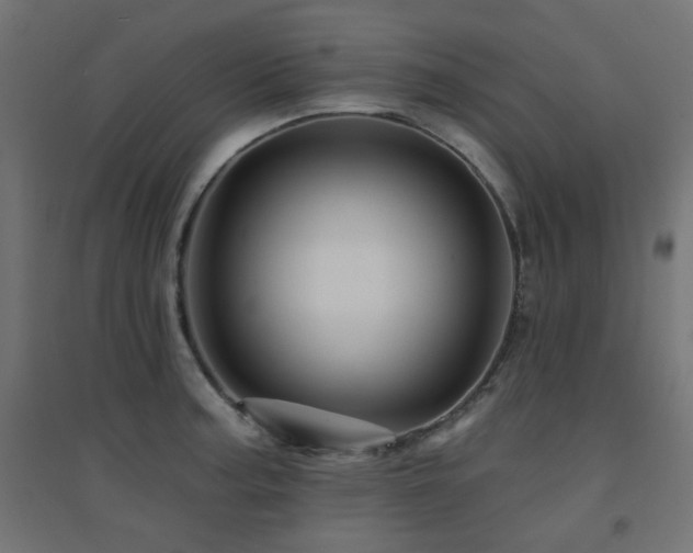 X0000094901187200711291225