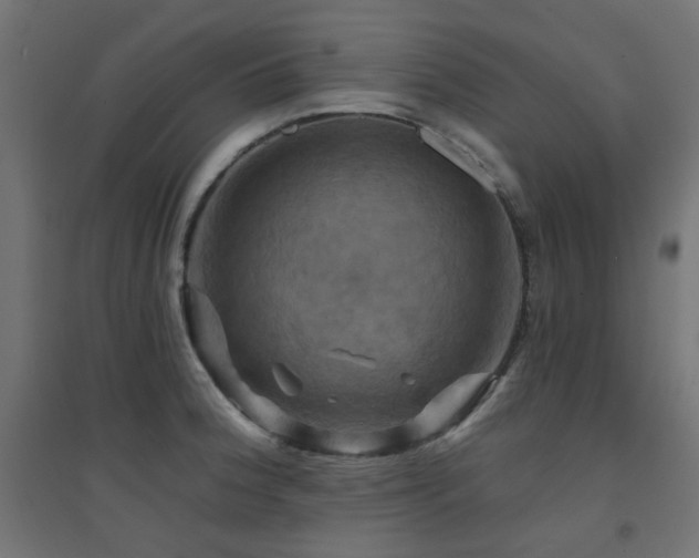 X0000094901188200711291225