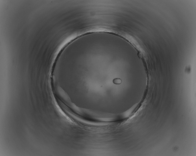 X0000094901189200711291225