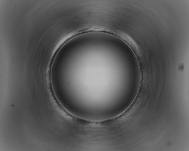 X0000094901190200711291225