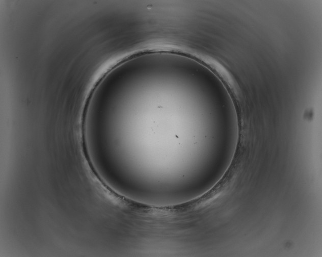 X0000094901191200711291225