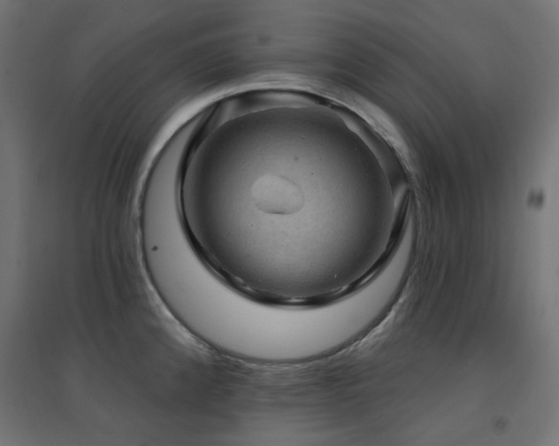 X0000094901192200711291225