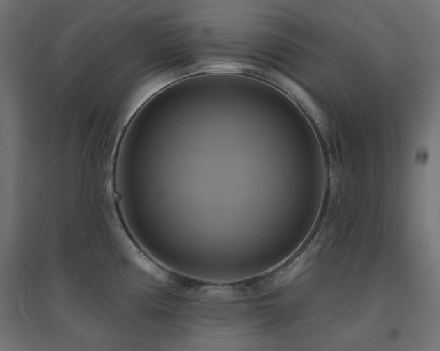 X0000094901194200711291225
