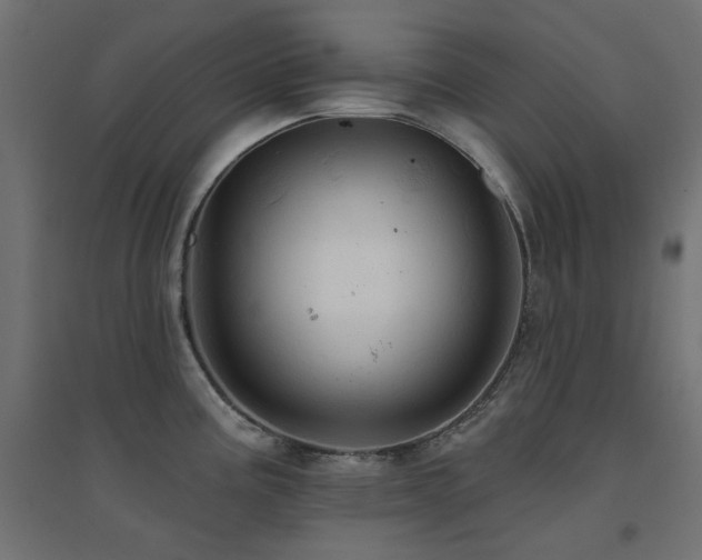 X0000094901195200711291225
