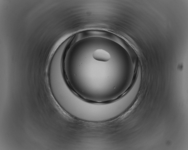 X0000094901196200711291225