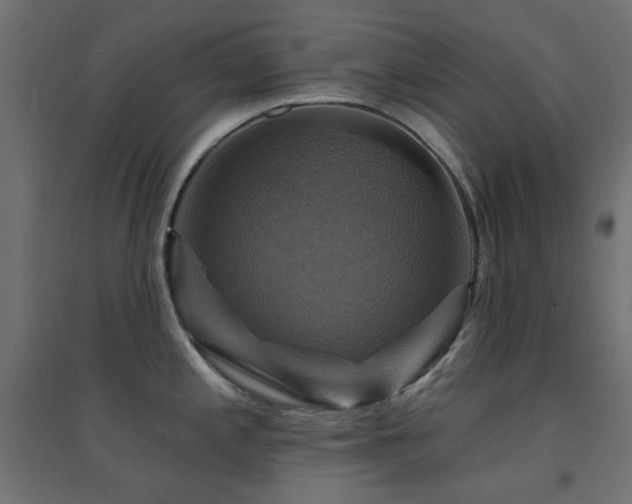 X0000094901197200711291225