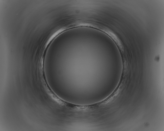 X0000094901198200711291225