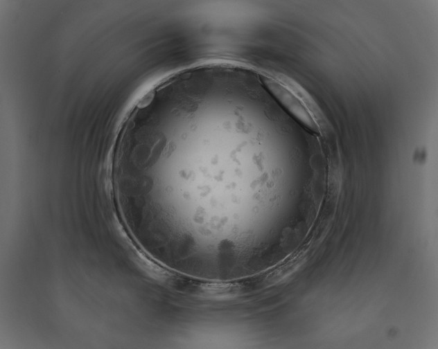 X0000094901199200711291225