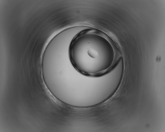 X0000094901200200711291225