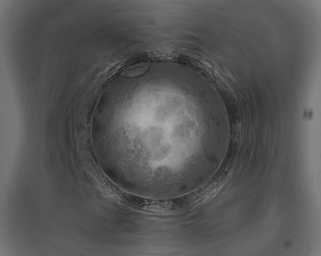 X0000094901201200711291224