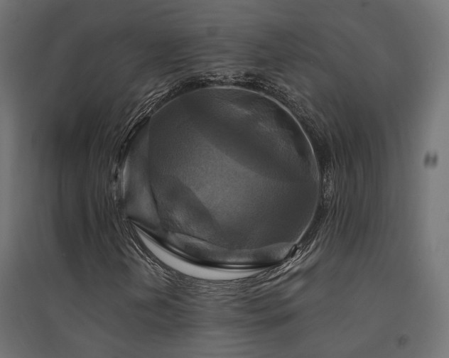 X0000094901202200711291224