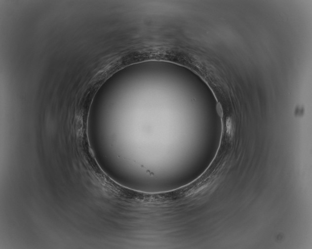 X0000094901203200711291224