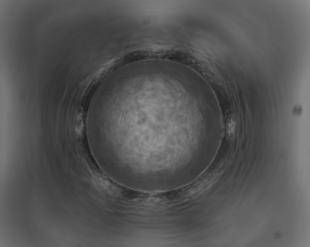 X0000094901204200711291224