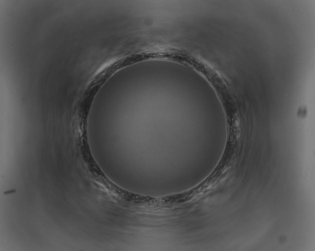 X0000094901206200711291225