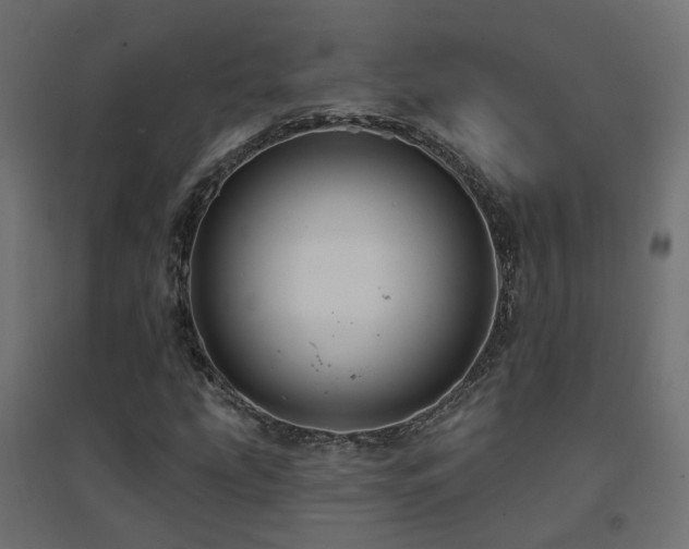 X0000094901207200711291225