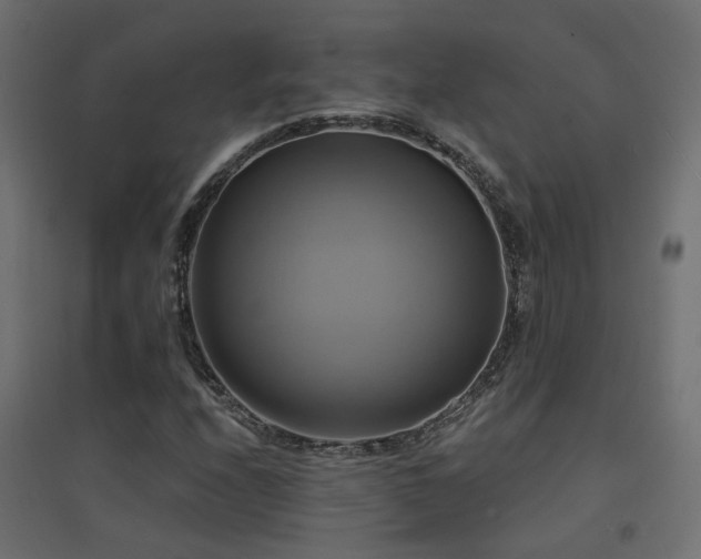 X0000094901208200711291225