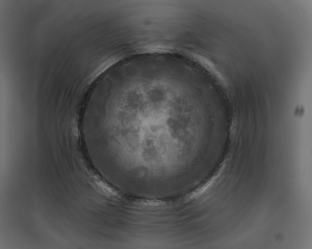 X0000094901209200711291225
