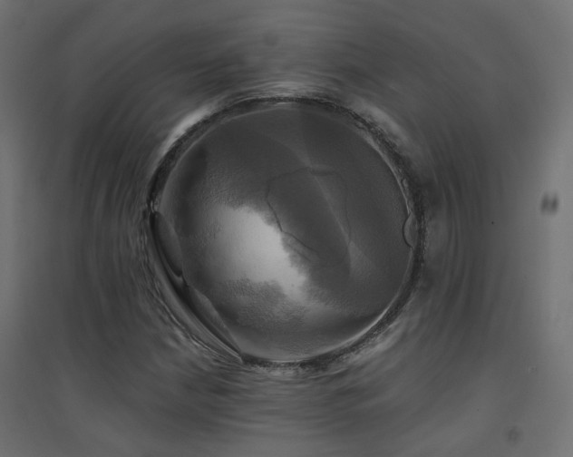 X0000094901210200711291225