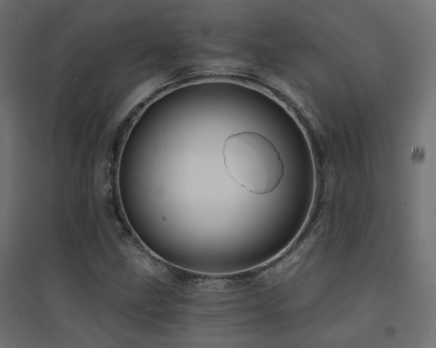 X0000094901211200711291225