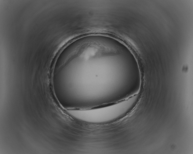 X0000094901212200711291225